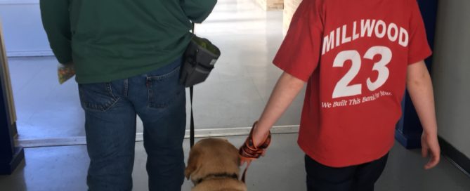 Walking with Carmen, St. Vincent's Villa's new therapy dog.